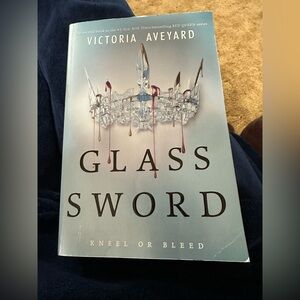 Glass Sword by Victoria Aveyard good condition